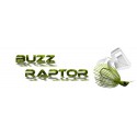 Buzz Raptor