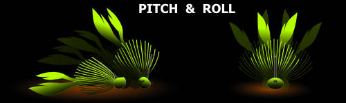 Pitch & Roll INFO